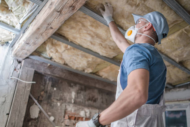 Best Insulation Materials and Products in Galva, KS