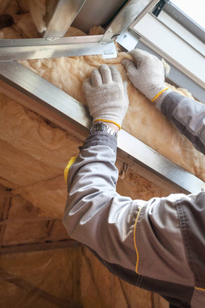 Best Residential Insulation in Galva, KS